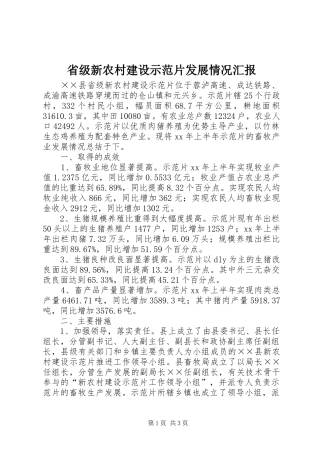 省级新农村建设示范片发展情况汇报