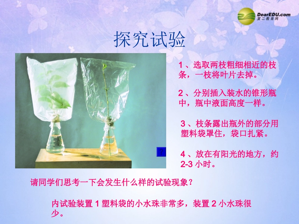 绿色植物与生物圈中的水循环111_第3页