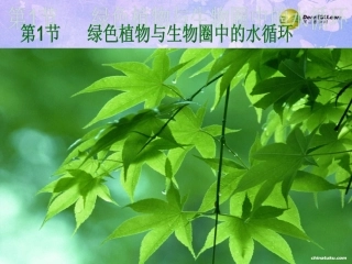 绿色植物与生物圈中的水循环111
