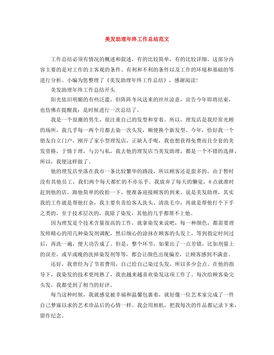 美发助理年终工作总结范文 _第1页