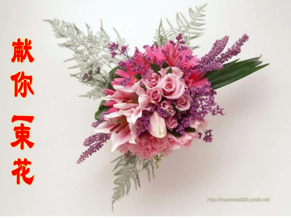 五年级语文献你一束花_第1页