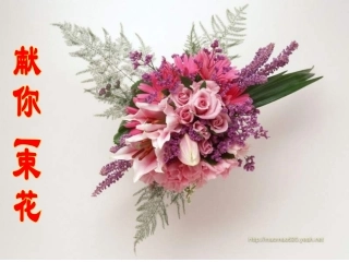 五年级语文献你一束花