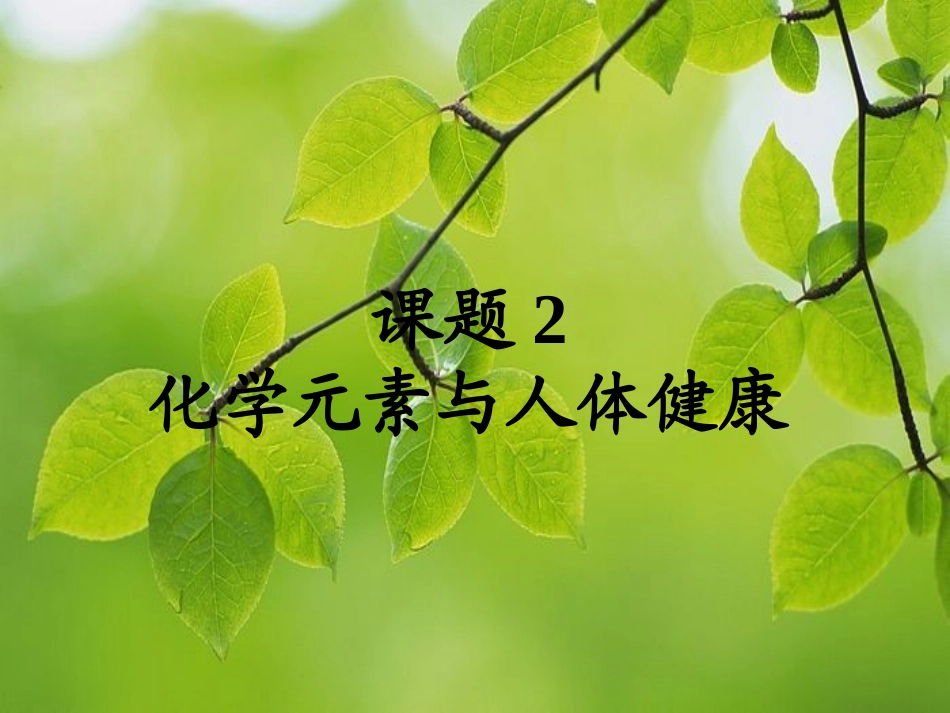 课题2化学元素与人类健康_第2页