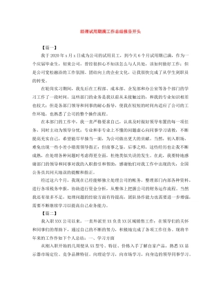 经理试用期满工作总结报告开头 