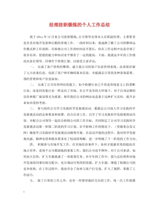 经理挂职煅炼的个人工作总结 