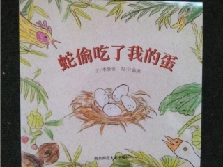 蛇偷吃了我的蛋