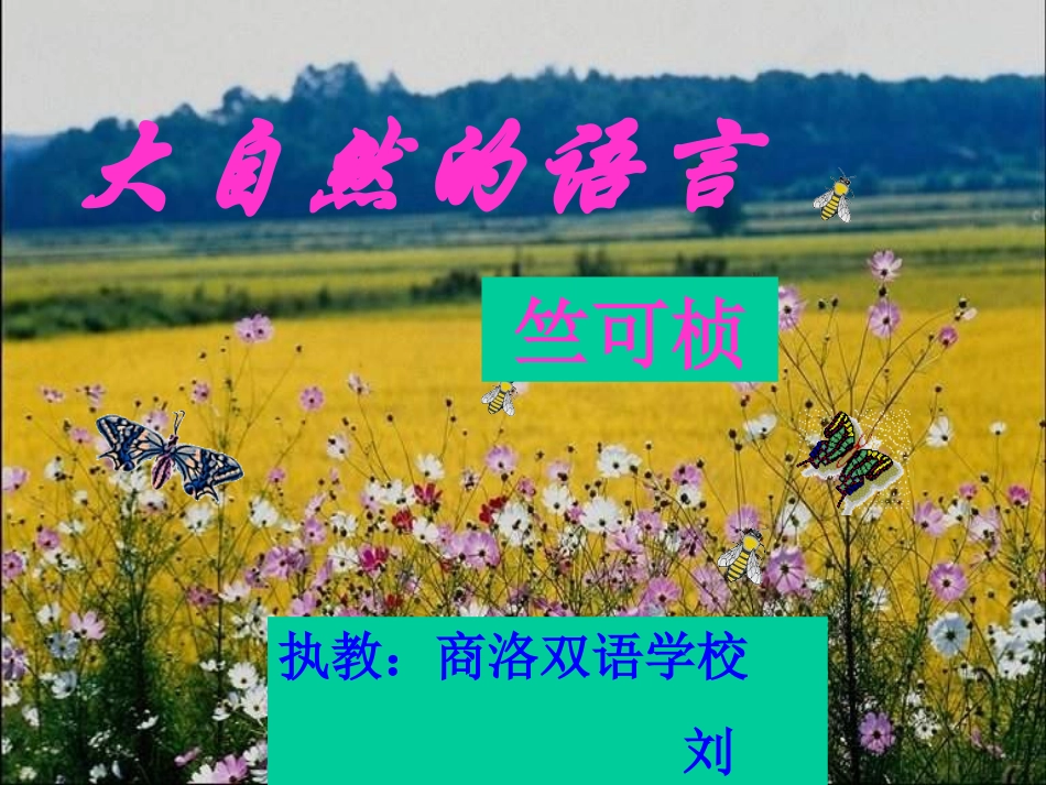 大自然的语言123_第2页