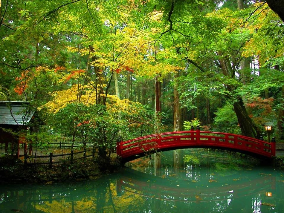 周祥《分式（一）》教学课件_第2页