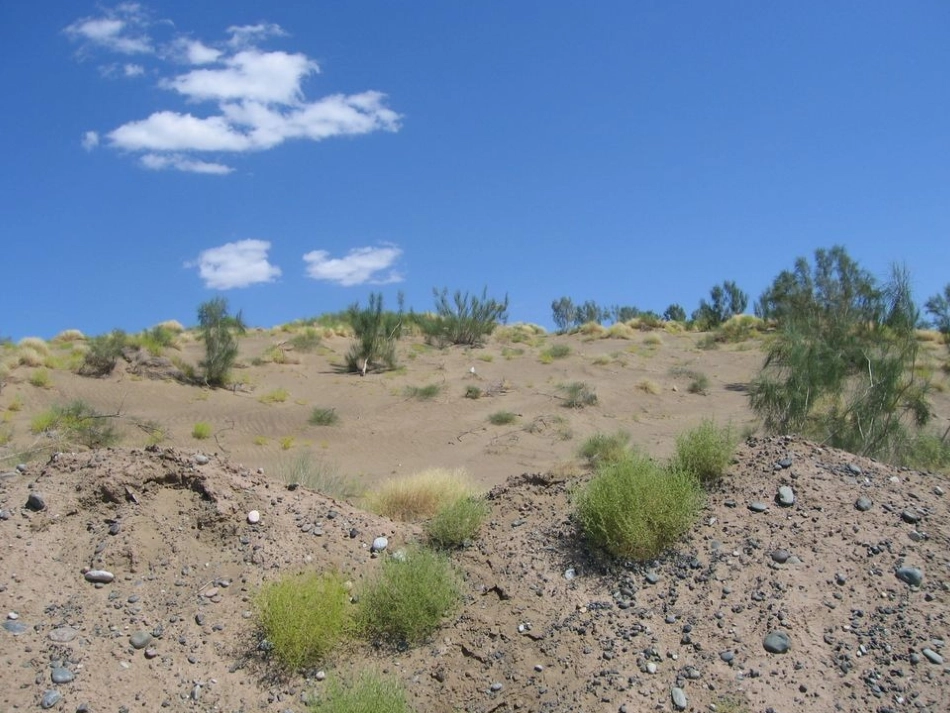 周祥《分式（一）》教学课件_第3页