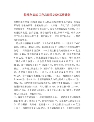 经发办2020工作总结及2020工作计划 