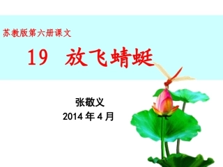 三下19放飞蜻蜓