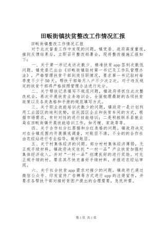田畈街镇扶贫整改工作情况汇报