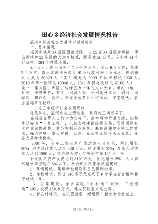 田心乡经济社会发展情况报告