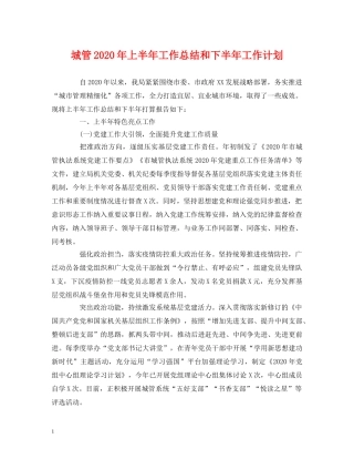 经典范文-城管2020年上半年工作总结和下半年工作计划 
