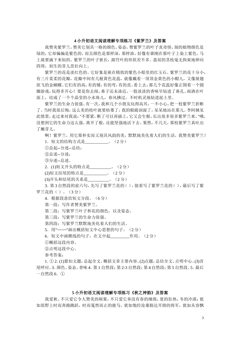 小升初语文阅读理解专项练习_第3页