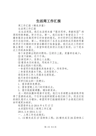 生活周工作汇报