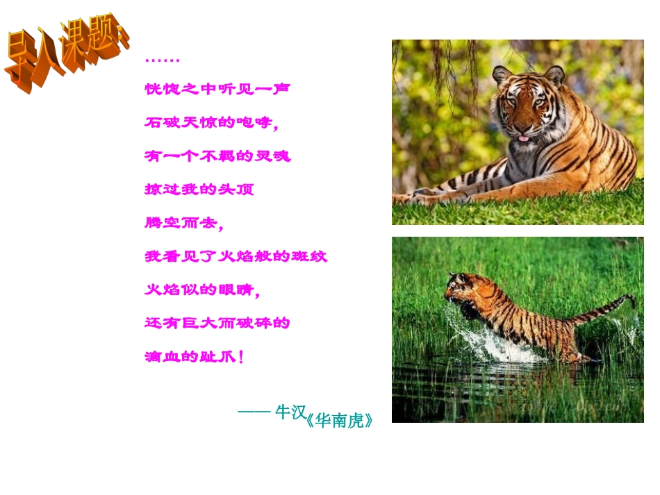 我的第一本书_第1页