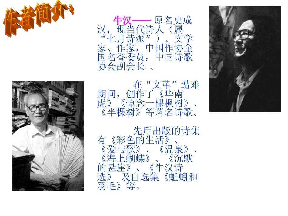 我的第一本书_第3页