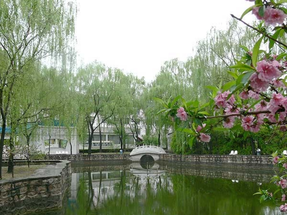 二单元看图写话春天来了(1)_第3页