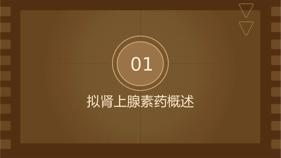 拟肾上腺素药zhangyan综述护理课件_第3页