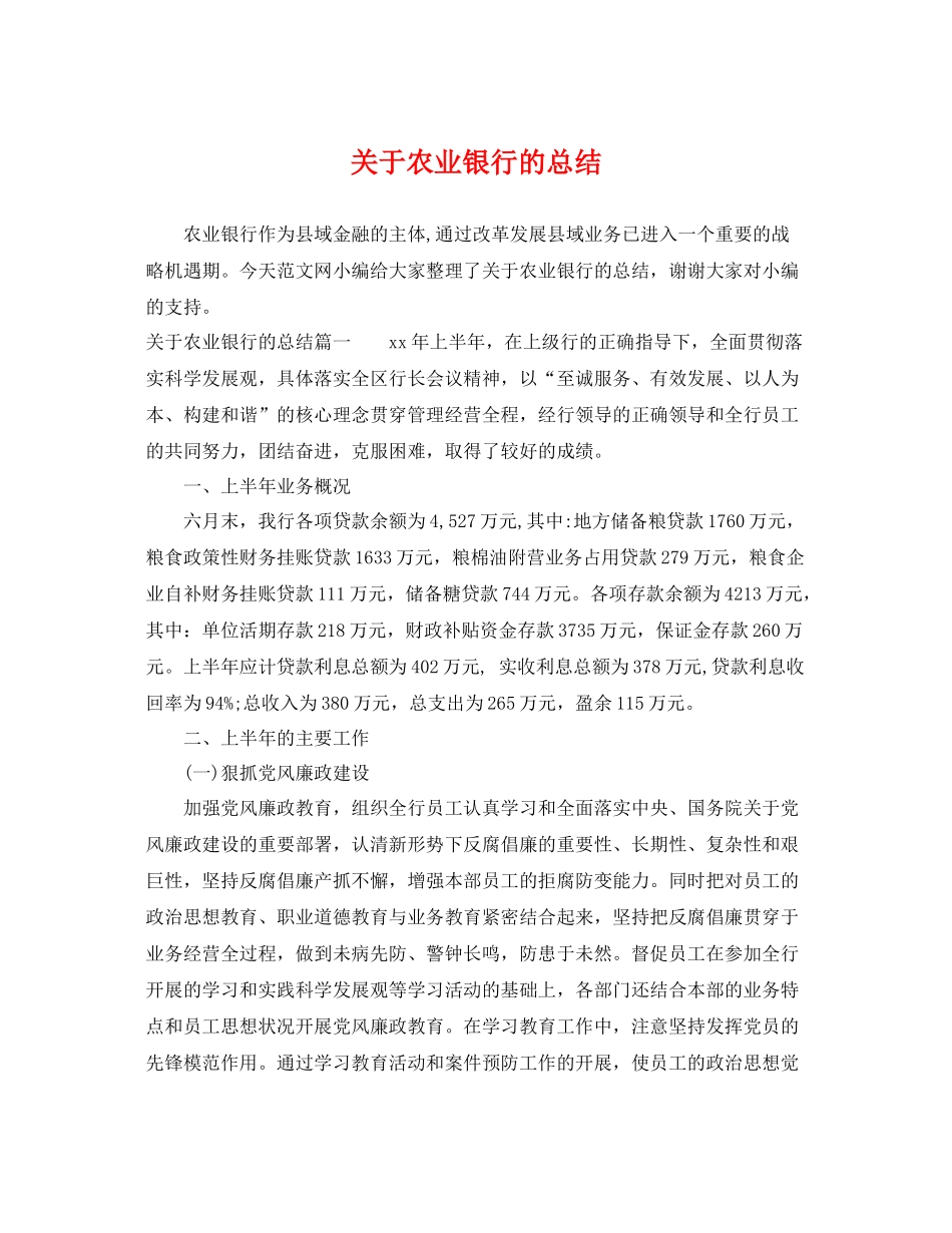 关于农业银行的总结 _第1页