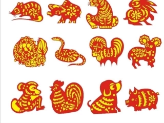 小学美术有趣的属相