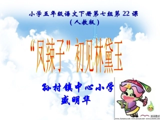 “凤辣子”初见林黛玉说课课件