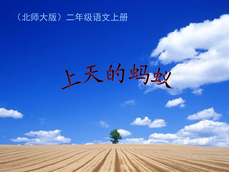 北师大版二年级语文上天的蚂蚁gdkj_第1页