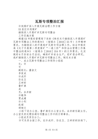 瓦斯专项整治汇报