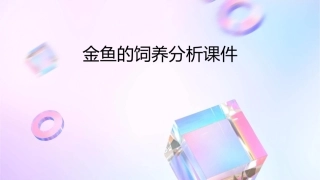 金鱼的饲养分析课件