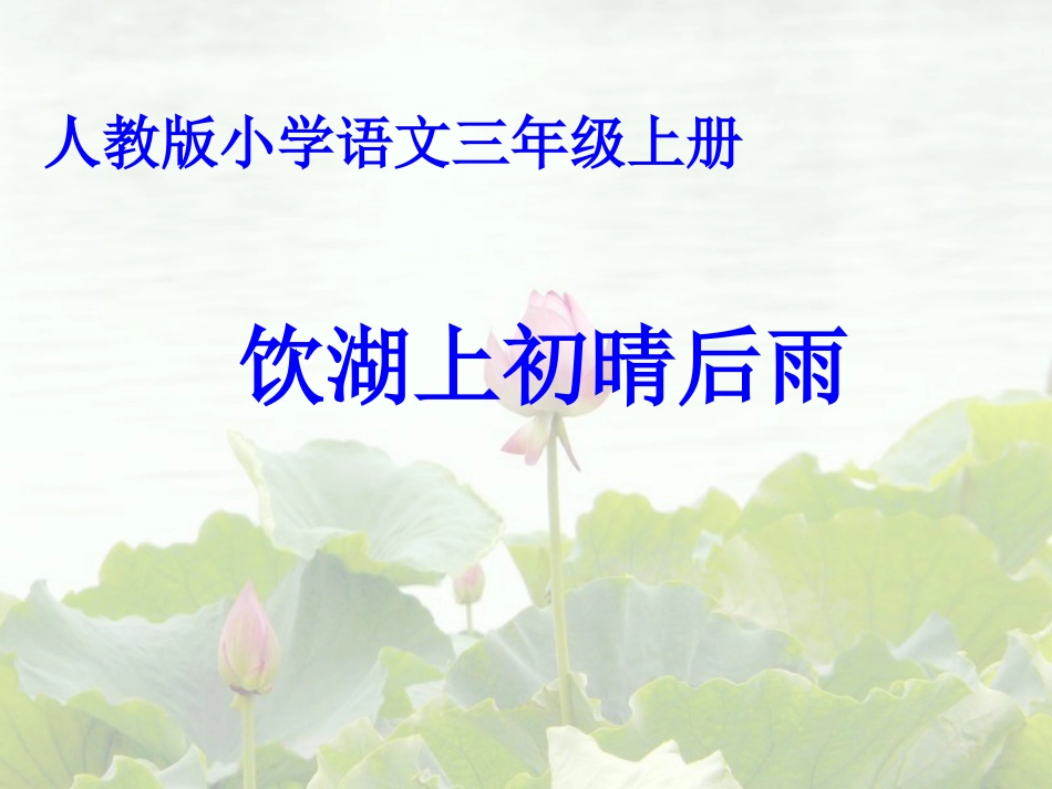 人教版小学语文三年级上册--饮湖上初晴后雨PPT课件_第1页