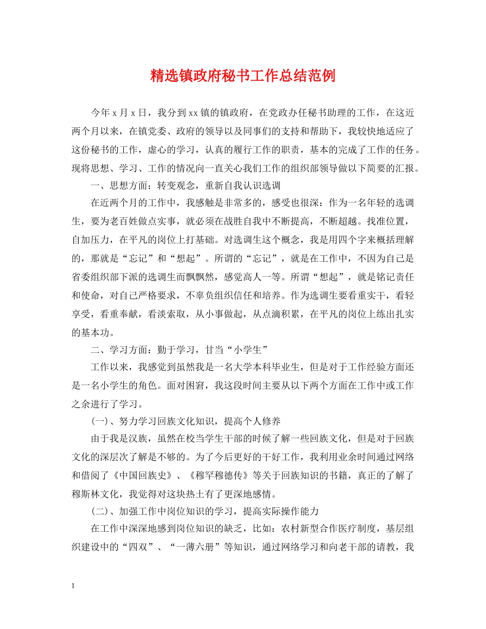 精选镇政府秘书工作总结范例 _第1页