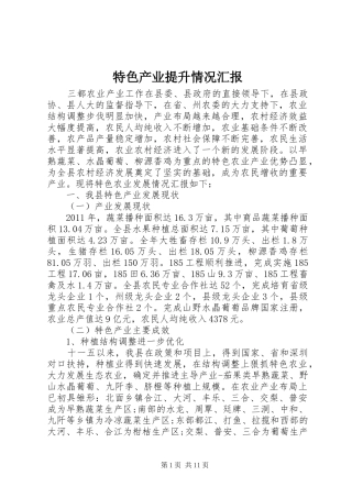 特色产业提升情况汇报