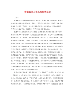 营销总监工作总结优秀范文 