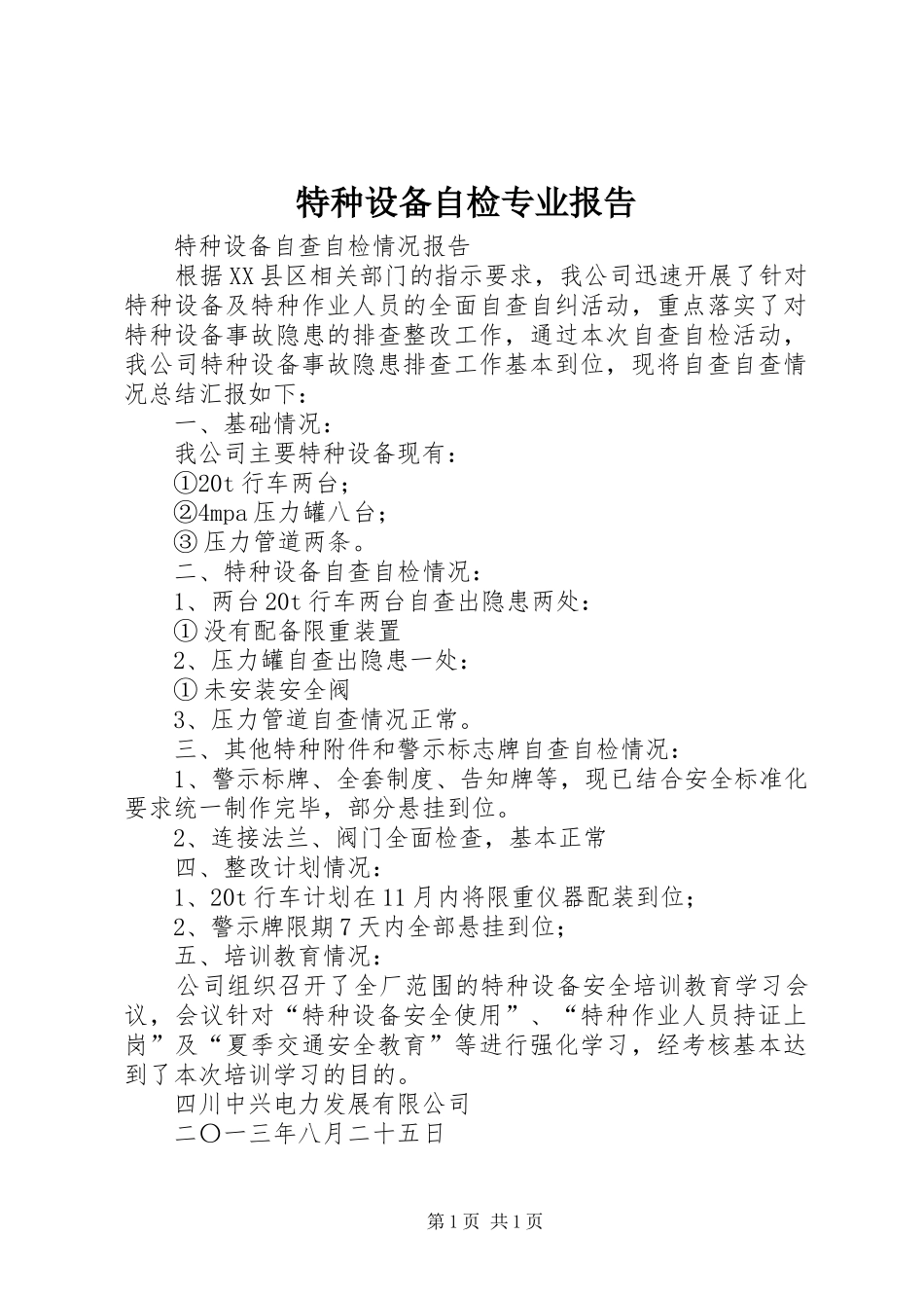 特种设备自检专业报告_第1页
