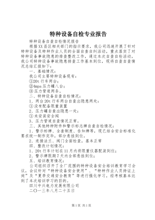特种设备自检专业报告