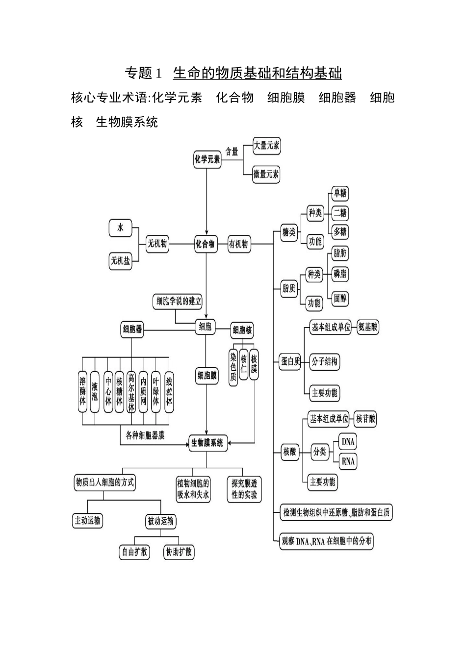 高三生物第二轮复习提纲_第2页