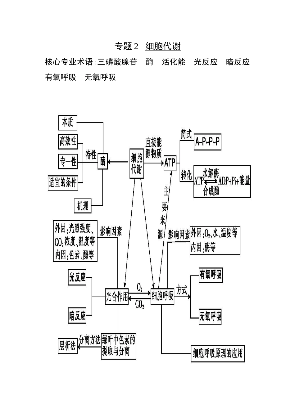 高三生物第二轮复习提纲_第3页