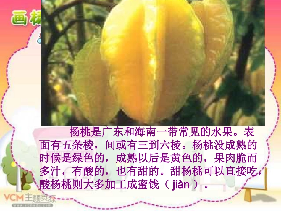 画杨桃课件精品_第3页