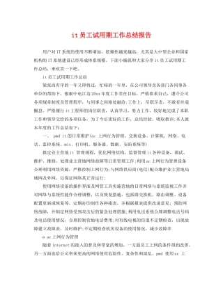it员工试用期工作总结报告 