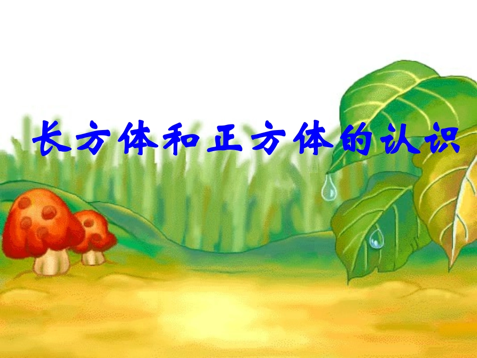 长方体和正方体的认识课件_第1页