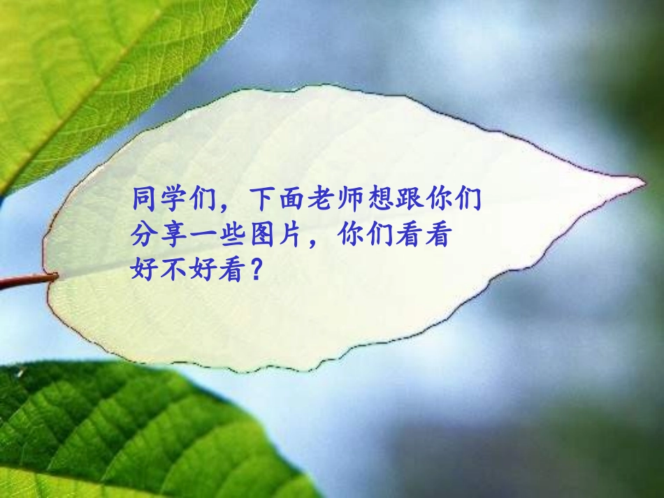 春雨的色彩定稿_第2页