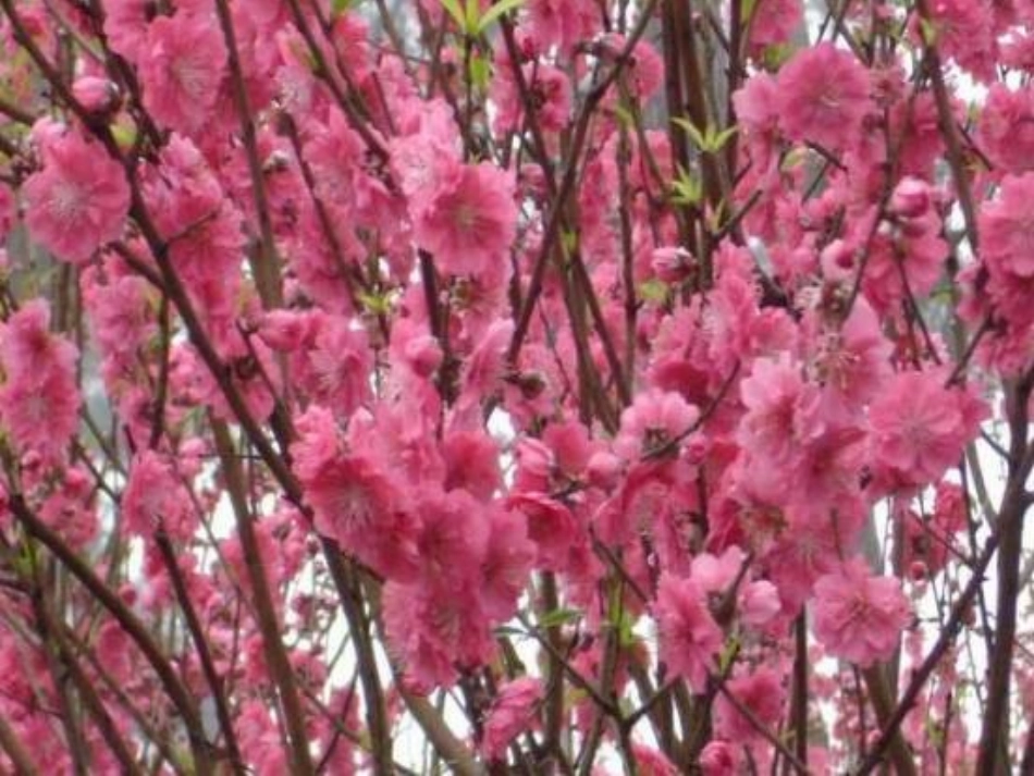 春雨的色彩定稿_第3页