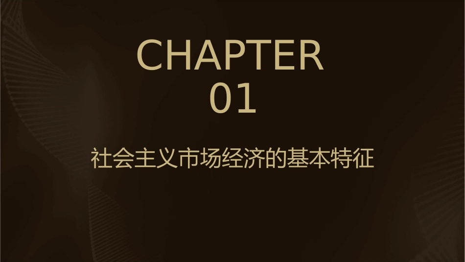 高三政治一轮复习经济生活第九课走进社会主义市场经济课件_第3页