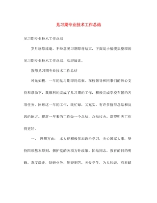 见习期专业技术工作总结 