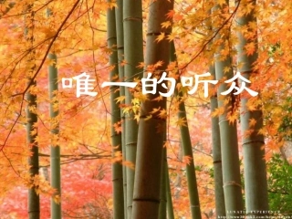 六年级语文唯一的听众2