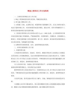 精选工程项目工作计划范例 
