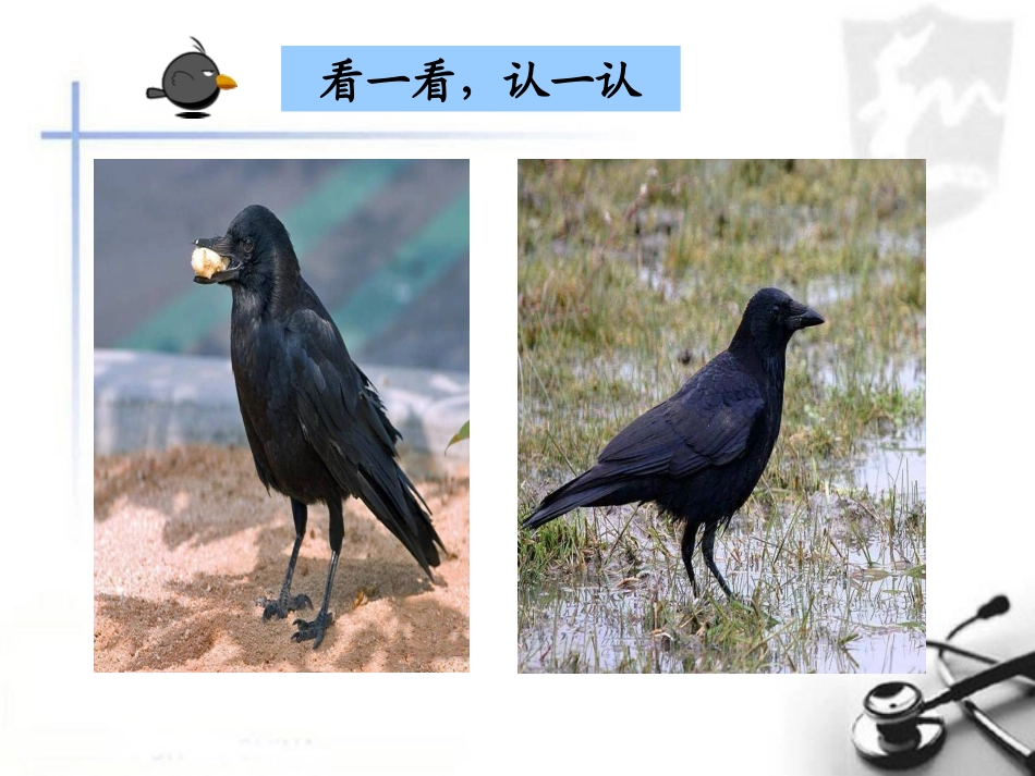 乌鸦喝水幻灯片 (2)_第1页