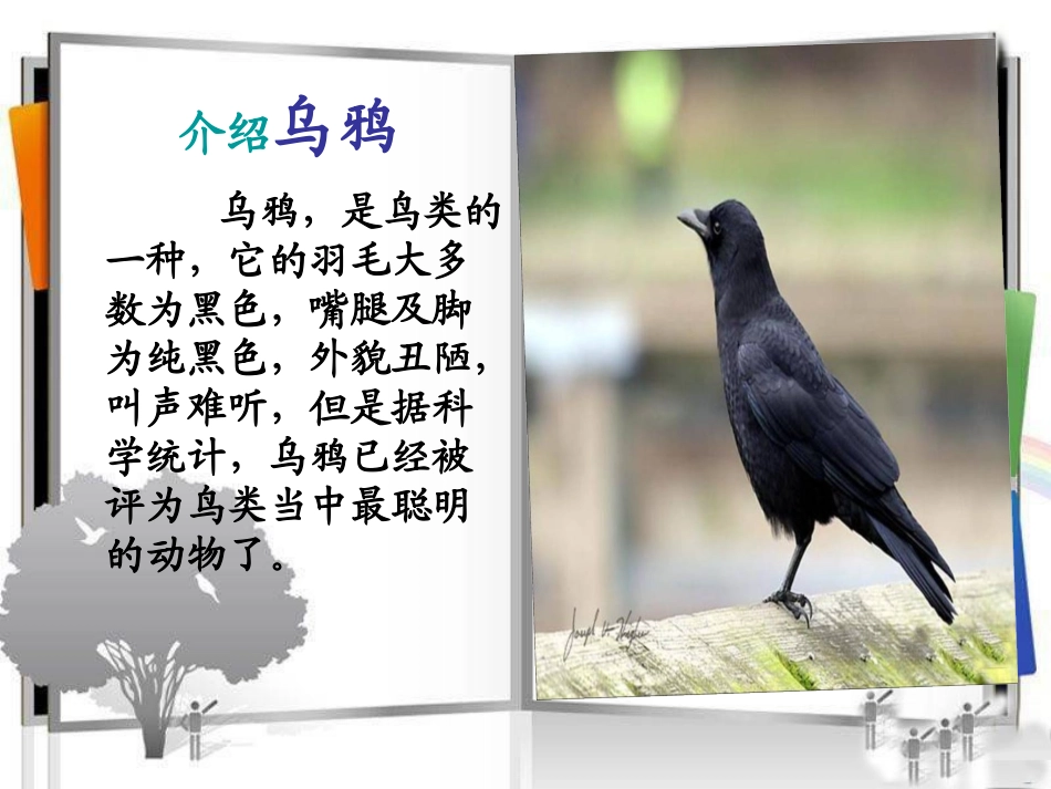 乌鸦喝水幻灯片 (2)_第2页