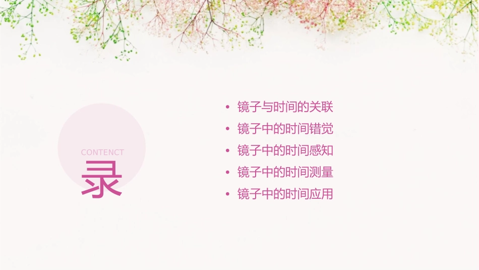 镜子里的时间课件_第2页